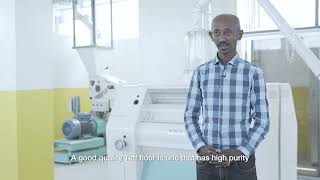 Download Lagu Merxy Trading: an unprecedented teff mill MP3 Download Lagu Merxy Trading: an unprecedented teff mill MP3