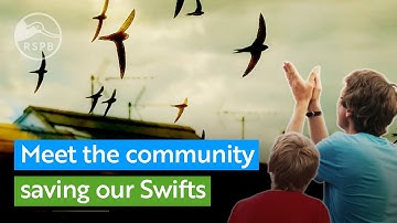 Meet the community that