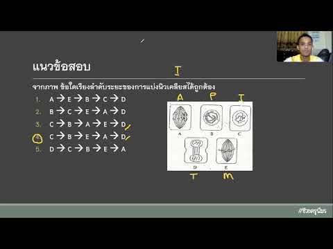  ข้อสอบ วิทยาศาสตร์ เพื่อ ชีวิต พร้อม เฉลย