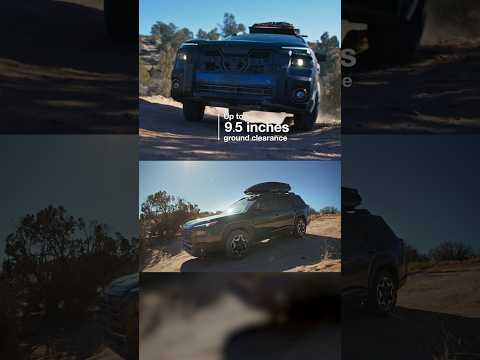 Reasons to Love the Outback | Capable and Fun