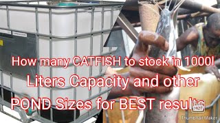How many CATFISH to stock in 1000l liters Capacity and other Pond sizes for best result