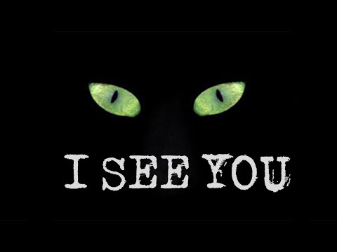 Video: Waarom zijn mijn katten Eyes Glow in the Dark?