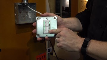 nLight Version 1.0: Override Switch Operation