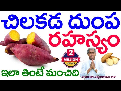 చిలకడ దుంప రహస్యం | Sweet Potato Mystery | Chilakada Dumpa | Dr Manthena Satyanarayana Raju Videos