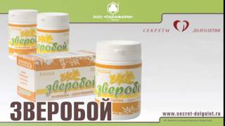 Зверобой Зверобой