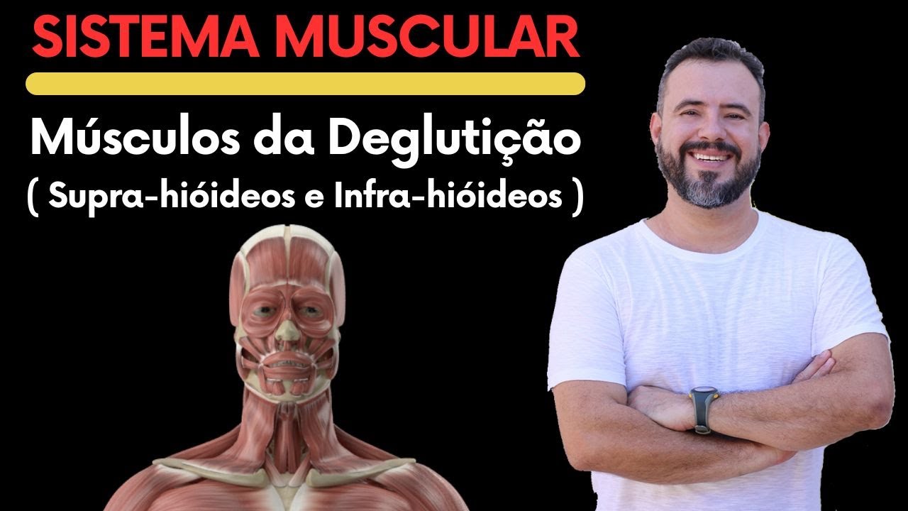 MÚSCULOS DA DEGLUTIÇÃO | SUPRA-HIÓIDEOS E INFRA-HIÓIDEOS | #enem #anatomy  #anatomiahumana