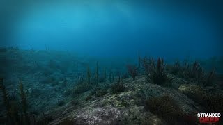 Stranded Deep ep 2 - Shipwreck, building, killer sea urchin