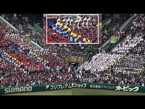 2019.04.03 【全イニング応援・3マルチカメラ】習志野高等学校 対