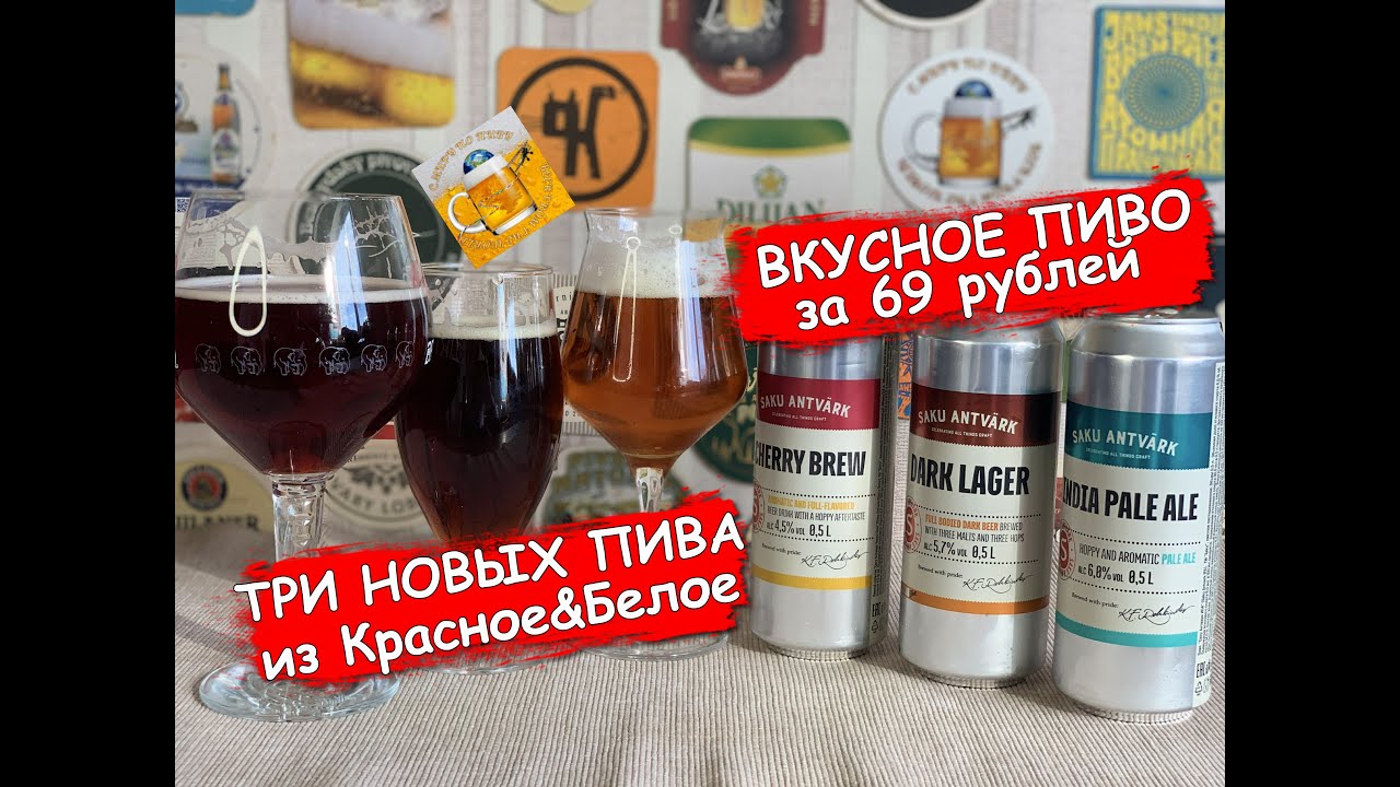 Пробую 3 новых пива "Saku" из "Красное&Белое"