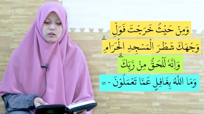 Mushuk video turlari