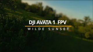 Dji Avata FPV Manual