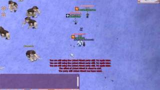 FlyFF -Umbrella Damage Record (PVM)