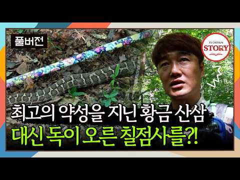 [FULL] 가파르고 험한 7시간 산행 중 황금 산삼 '황절삼' 찾으러 갔다가 독사를 만났다?! | 뉴 코리아 헌터 ep.68 | TV CHOSUN 170918 방송
