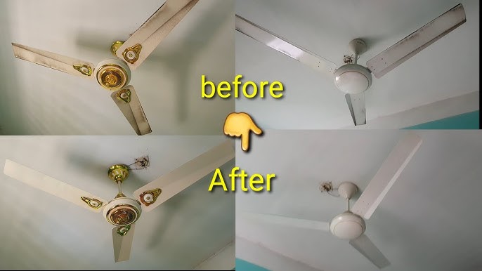 Ona oglini jinsiy aloqa bilan oziqlantiradi