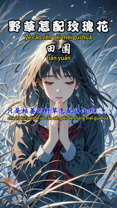 田園 - 野草怎配玫瑰花【繁體拼音動態歌詞Lyrics】#親親Fun音樂 #田園 #野草怎配玫瑰花 #音樂 #音樂分享