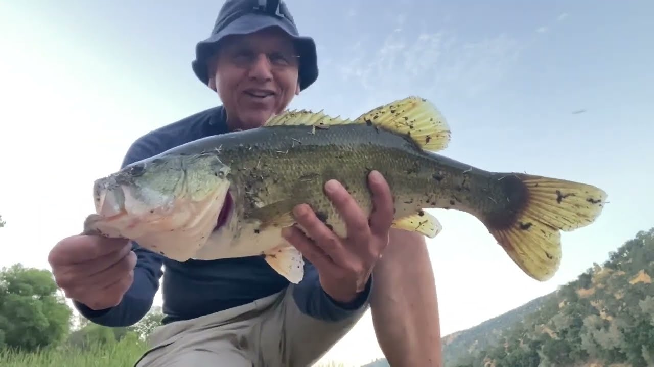 Lake Del Valle Topwater Bass Fishing PB? #fishing #bassfishing #topwater