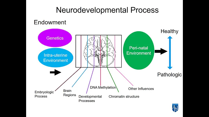 Translational Research on Biomedical Interventions...