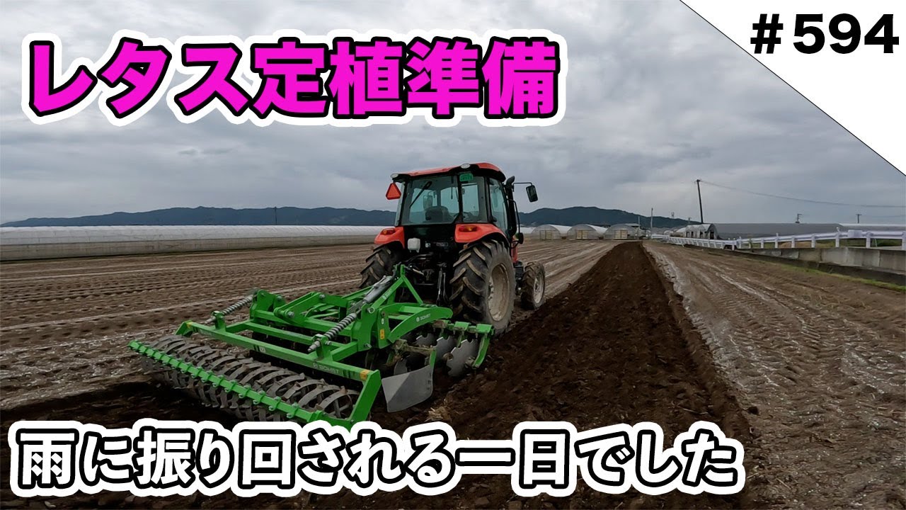レタス定植準備　雨に振り回される１日でした泣