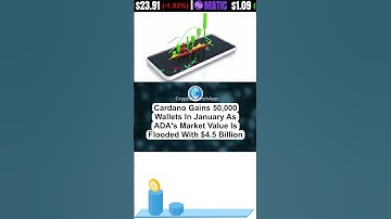 Top Crypto Highlights Of The Day #bitcoin #crypto #cryptocurrency #ethereum