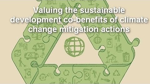 Why it matters to quantify and monetize NAMA social development co-benefits