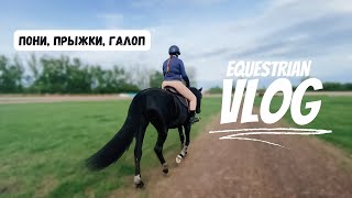 VLOG из ипподрома | пони, прыжки, галоп | верховая езда | коноблог