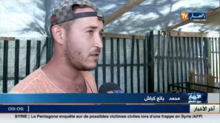 أضحى 2016 : الخروف الأملح.. رغم قلته و غلائه يستهوي الجزائريين