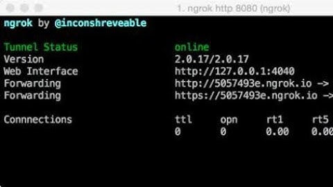 How to setup ngrok and do port forwarding | for penetration testing | termux | Kali Linux |