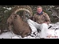 Ibex Tian Shan Kazakhstan hunting  by Prohunt.kz - Охота на тянь-шаньского  козерога  в Казахстане