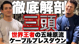 【徹底解剖②】五味原くんの三頭がデカくなる理由が！〜ケーブルプレスダウン〜