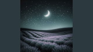 Breathing Lagoon Pulse Sleep Meditation - 7.99 Hz Theta