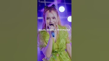 Bajol Ndanu X Trio Macan - Sedang Ingin Bercinta (Official Teaser Video) #shorts