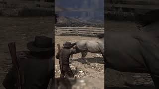 These Red Dead physics BETTER be in GTA 6