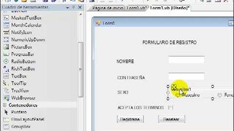 visual basic. net  Checbox y RadioButton....