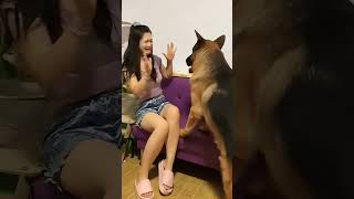 funniest Dog Ever I Seen funny angrydog 2