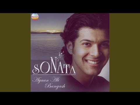 Raga Basant Mukhari - Composition in Teentaal auf YouTube ansehen