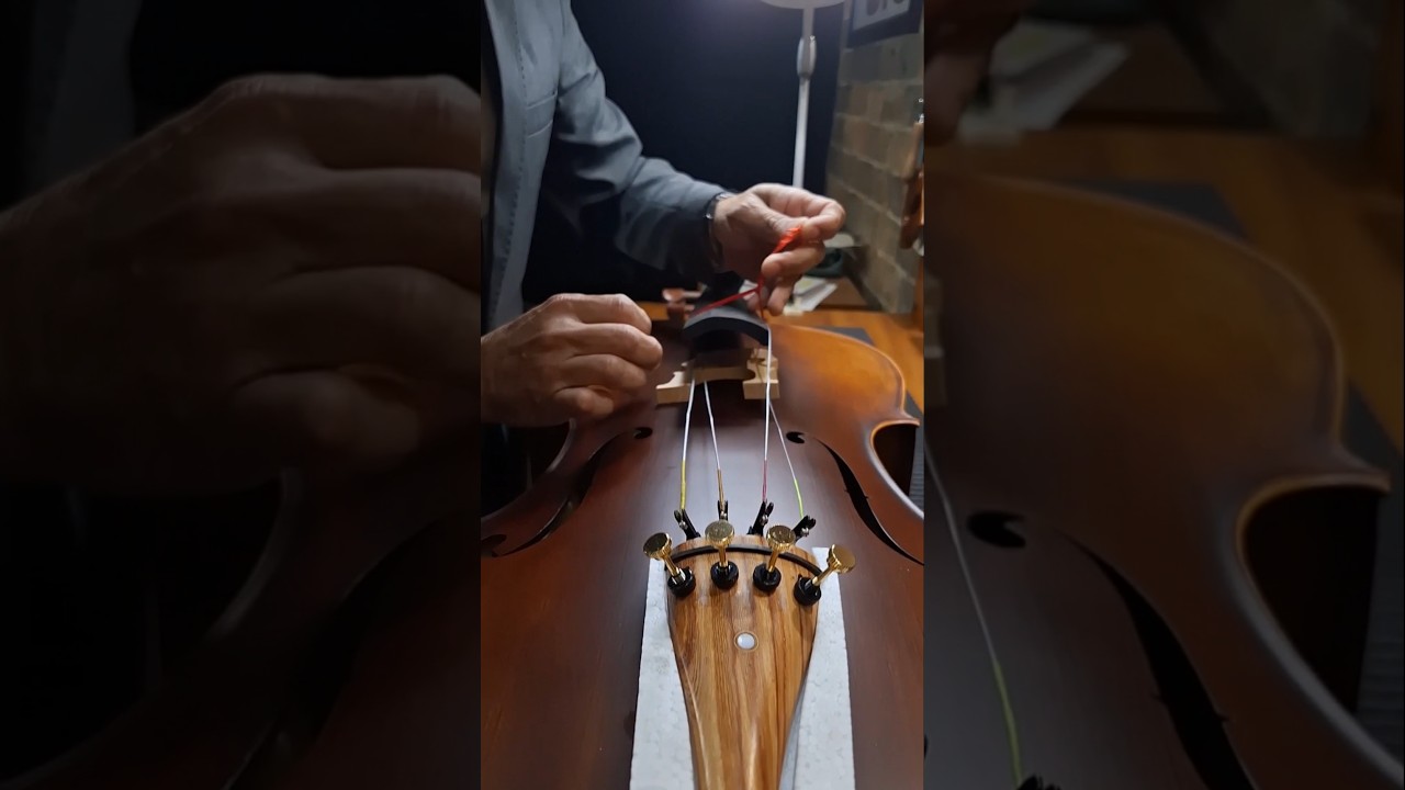 VIOLONCELO EAGLE CE 210 🦅