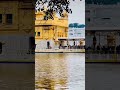 GOLDEN TEMPLE #trending #SATGURU MERE #amritsar #gurdwara #sahib#satnamwaheguru #viral.