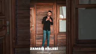 ZAMBIR HALEBİ 🎹 Resimi