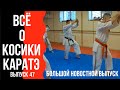 Выпуск 47. Всё о Косики каратэ. Большой новостной выпуск.