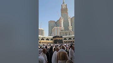 قَالَ لَا تَخَافَا | راحة نفسية رهيبة | سبحان منوهبه هذا الصوت | احدث تلاوات محمد ديبيروف #quran
