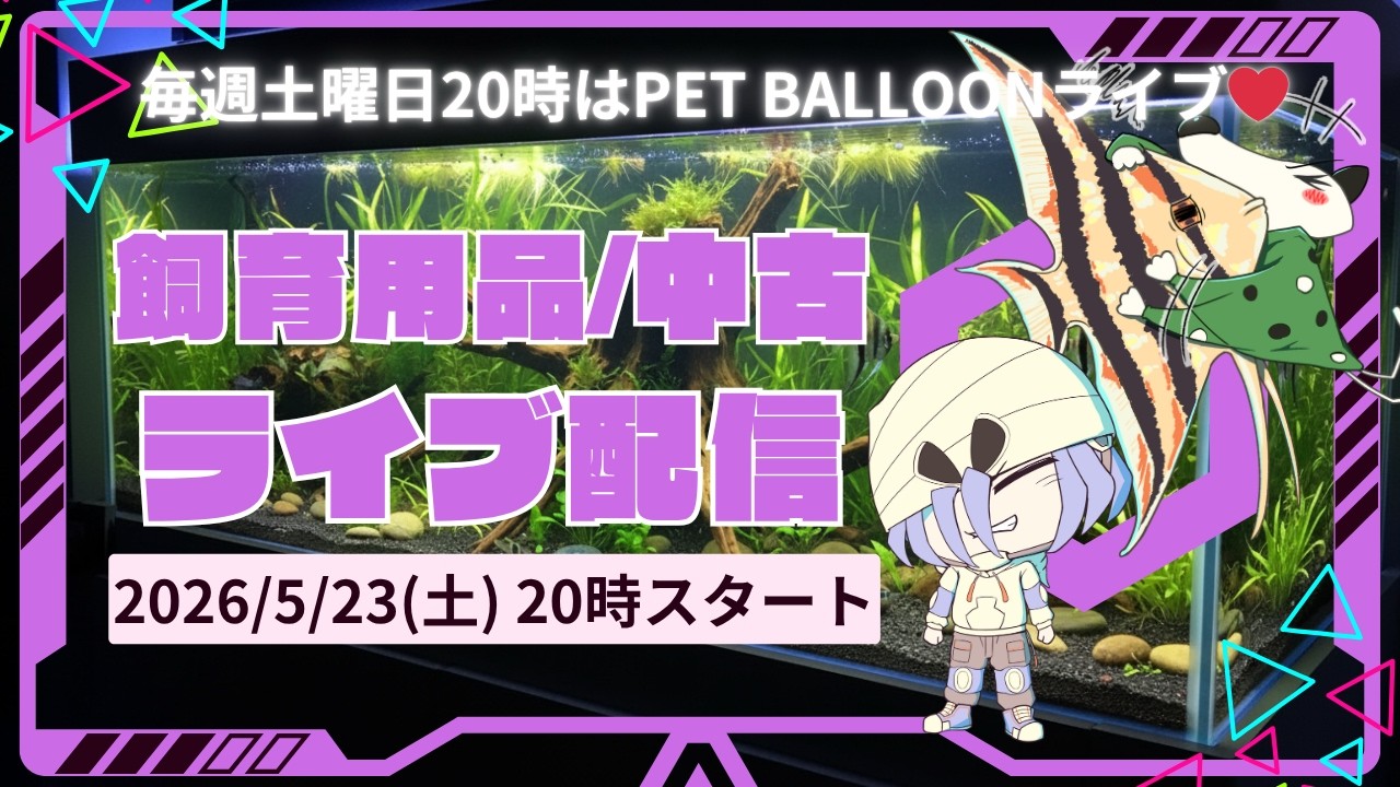 用品コーナーライブ配信!ペットバルーン (Pet Balloon) | アクアリウム 熱帯魚