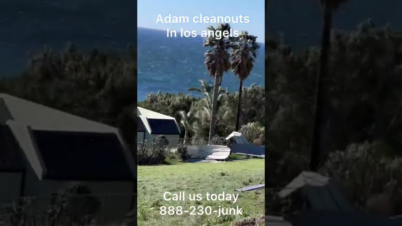 Malibu beach junk removal , wind weather