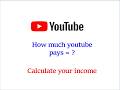 YouTube Income Calculator | How Much Can You Earn on YouTube? | Free YouTube Money Calculator Tool