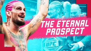 Sean O'Malley's Bizarre Rise To UFC Gold