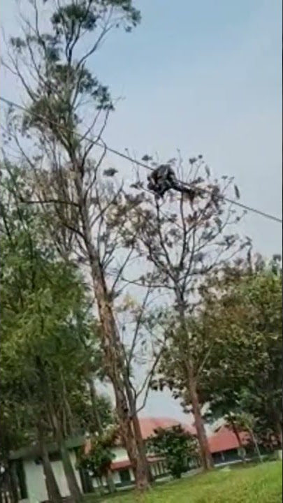 Indonesian army flying fox #shorts #news #trending #video #viral #shortsvideo #tentara #berita