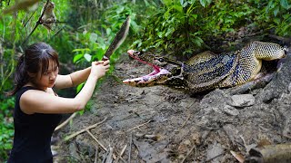 Full-video: Build Shelter, Confront Wild Animals and Dangers/ 7 Days Bushcraft \u0026 Survival