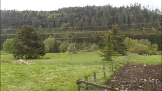 tornade gerbépal-martimpré vosges