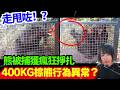 【日本熊出沒🚨】熊闖入偷食雞仔！400KG棕熊行為異常、瘋狂搖陷阱籠？60年經驗獵人遭熊突擊！熊連環襲擊事件 | 日本新聞報導 | CC中文字幕 #熊出沒 #柴犬 #廣東話 #新聞 #突發