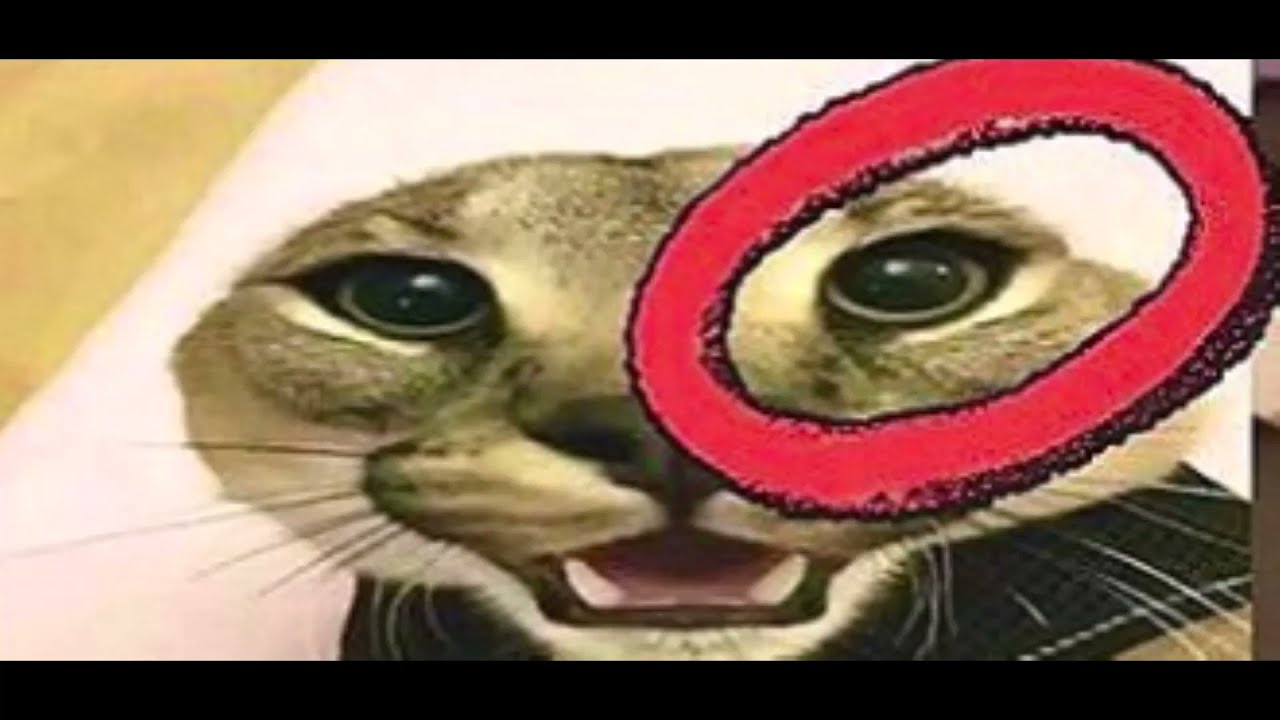 Lionel Hutz has just found out servals exist. - YouTube