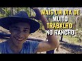 PLANTANDO HOJE PARA COLHER AMANHÃ, MAIS UM DIA NO RANCHO, PLANTANDO MANDIOCAS | episódio 49